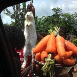 On the Road to Douala - Window Shopping... Rabbit anyone?